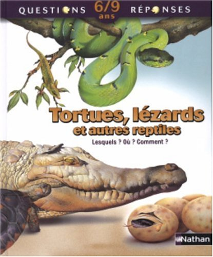 Tortues, lézards et autres reptiles