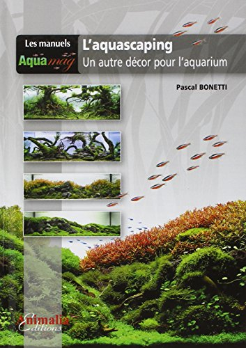 L'aquascaping : un autre décor pour l'aquarium