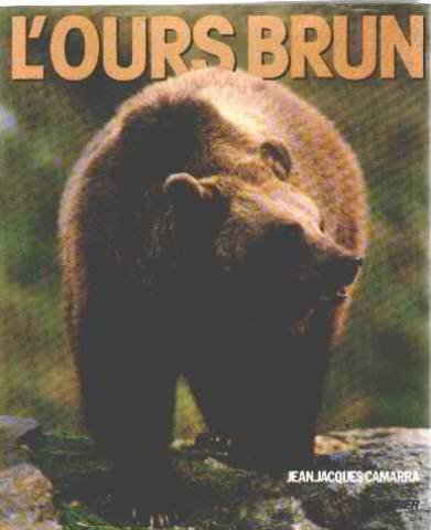 L'Ours brun