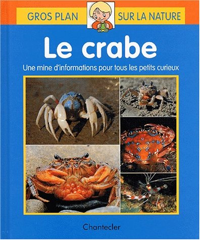 Le crabe : une mine d'informations pour tous les petits curieux