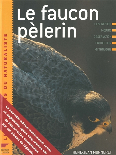 Le faucon pèlerin : description, moeurs, observation, protection, mythologie