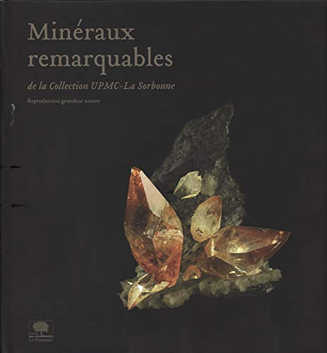 Minéraux remarquables : de la collection UPMC-La Sorbonne : reproduction grandeur nature. Remarkable