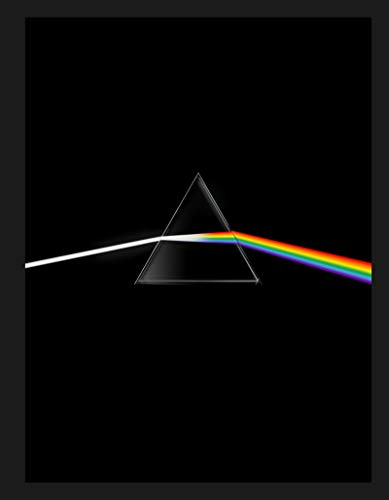 Pink Floyd : their mortal remains