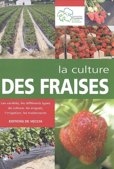 La culture des fraises : les variétés, les différents types de culture, les engrais, l'irrigation, l