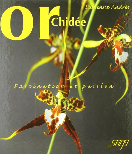 Orchidée : fascination et passion