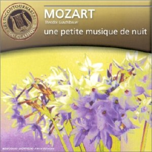 mozart : une petite musique de nuit