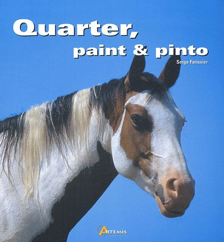 Quarter, paint & pinto