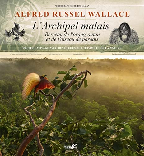L'archipel malais : berceau de l'orang-outan et de l'oiseau de paradis : récit de voyage avec des ét
