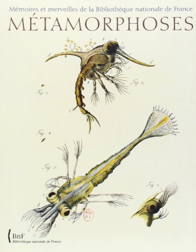 Métamorphoses : le monde fascinant des insectes