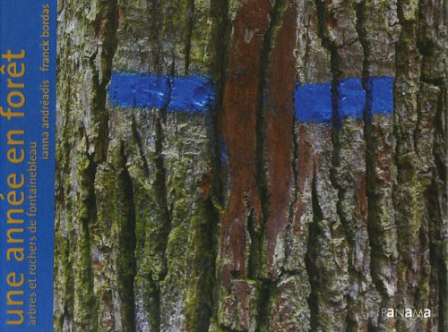 Une année en forêt : arbres et rochers de Fontainebleau