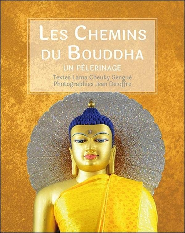 Les chemins du Bouddha : un pèlerinage