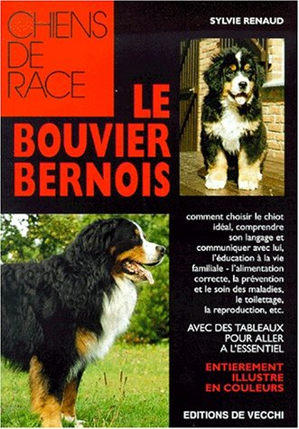 le bouvier bernois