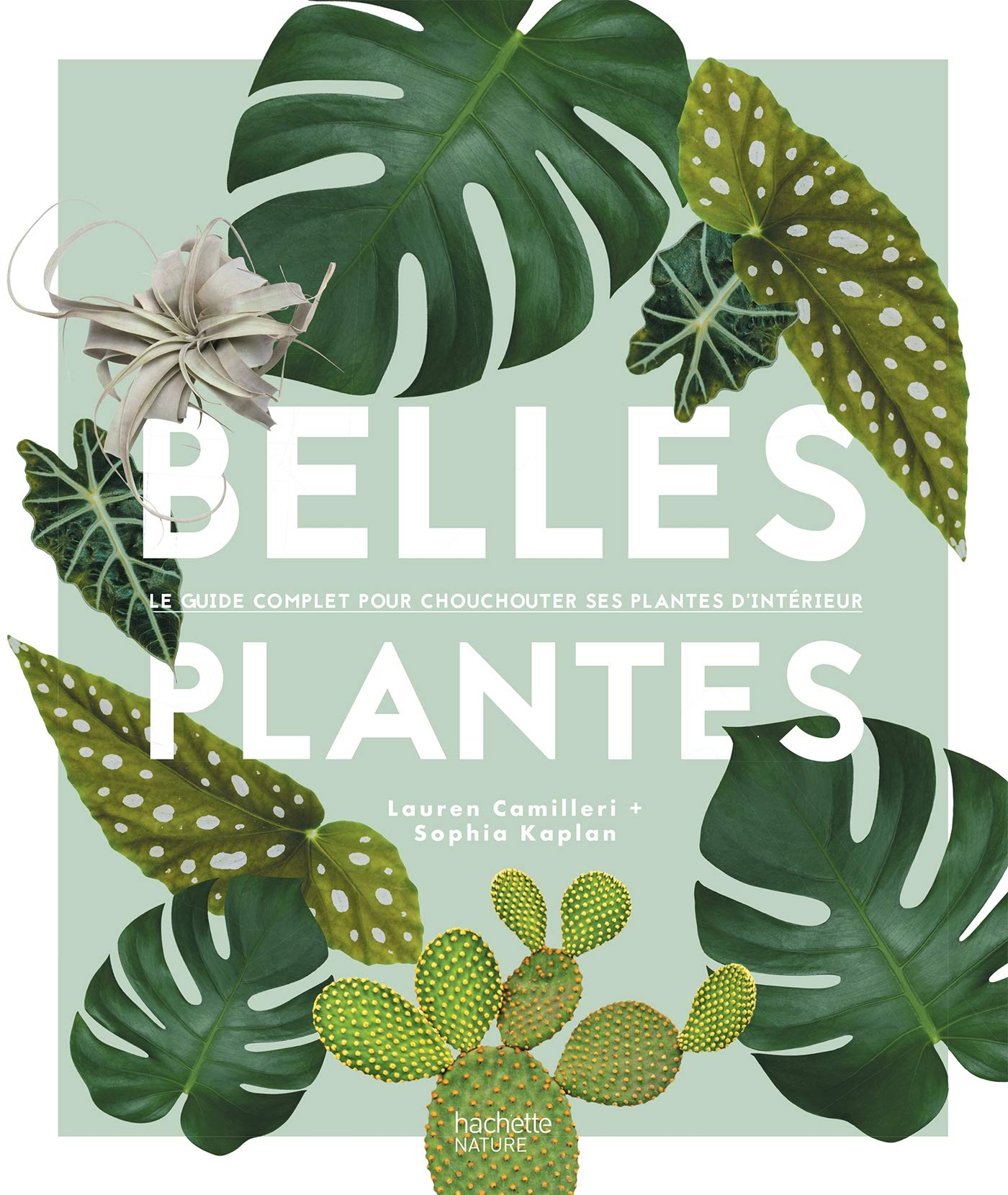 Belles plantes : le guide complet pour chouchouter ses plantes d'intérieur