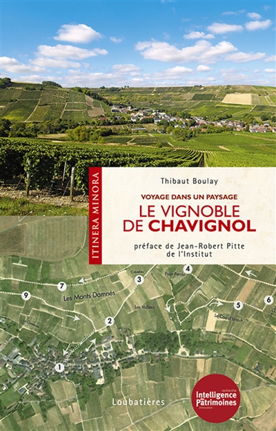 Le vignoble de Chavignol : voyage dans un paysage