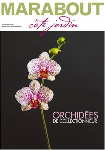 Spécial orchidées
