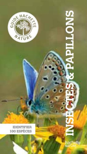 Insectes & papillons : identifier 100 espèces