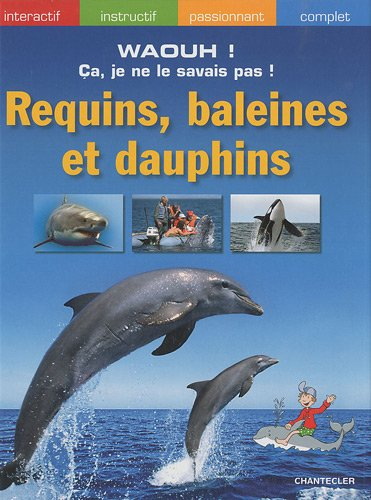 Requins, baleines et dauphins