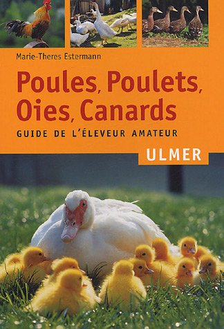 Poules, poulets, oies, canards