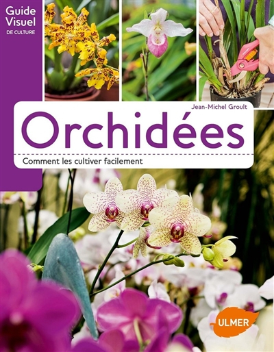 Orchidées : comment les cultiver facilement