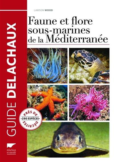 Faune et flore sous-marine de la Méditerranée