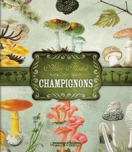 Atlas illustré des champignons