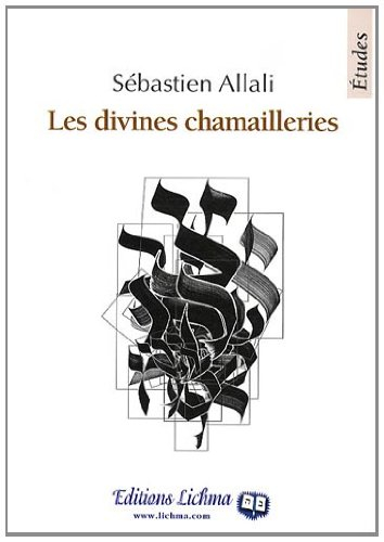 Les divines chamailleries : Etudes talmudiques