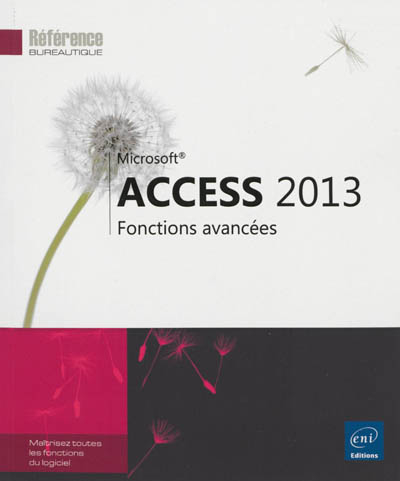 Access 2013 : fonctions avancées