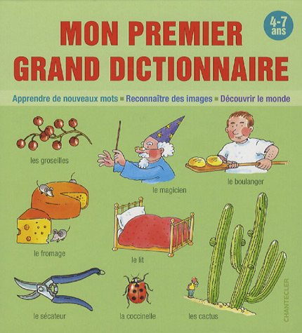 Mon premier grand dictionnaire