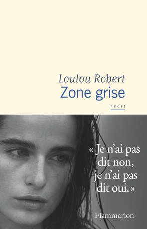 Zone grise : récit