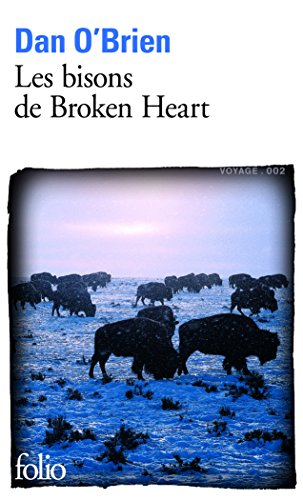 Les bisons de Broken Heart