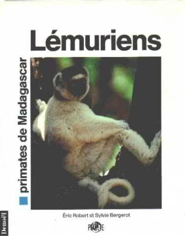 Lémuriens : primates de Madagascar