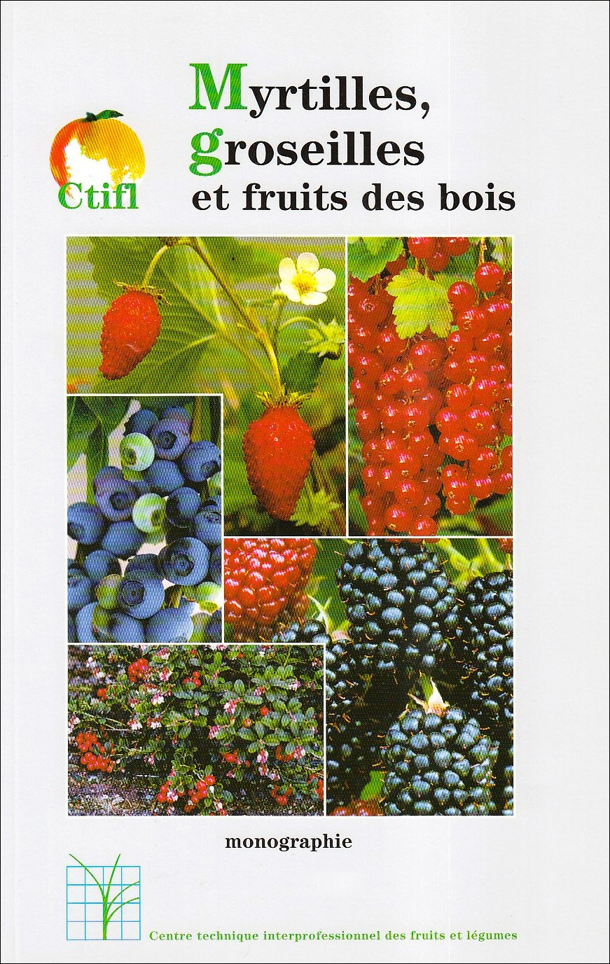 Myrtilles, groseilles et fruits des bois