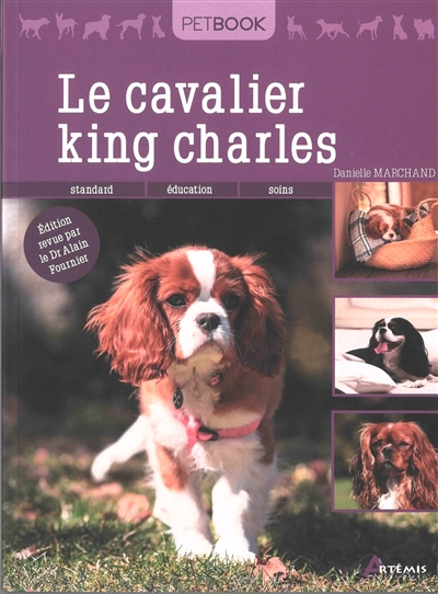 Le cavalier king Charles