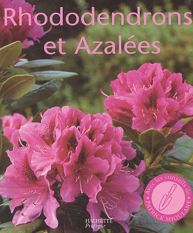 Rhododendrons et azalées : des variétés pour le balcon, la terrasse et le jardin : les conseils d'un