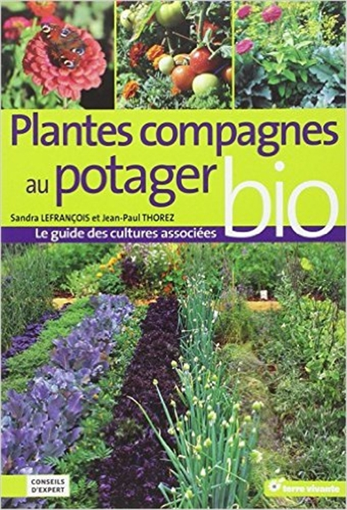 Plantes compagnes au potager bio : le guide des cultures associées