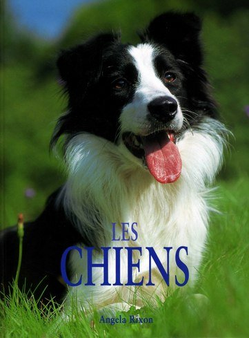 les chiens