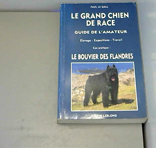 Bouvier des Flandres