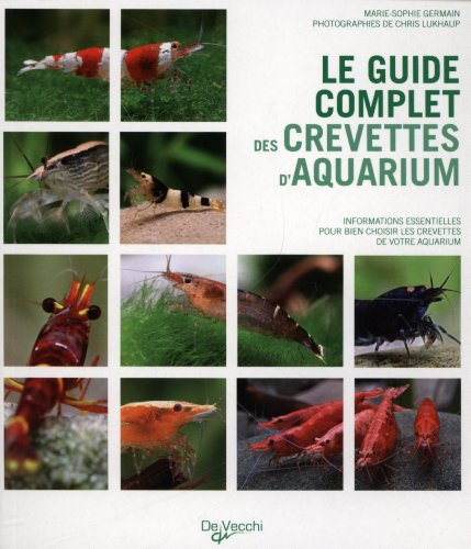Le guide complet des crevettes d'aquarium : informations essentielles pour bien choisir les crevette
