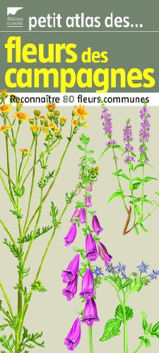 Petit atlas des fleurs des campagnes : reconnaître 80 fleurs communes