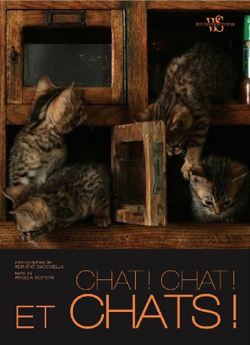 Chat ! Chat et... chats !