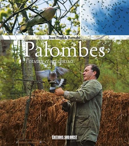 Palombes : l'oiseau et ses chasses
