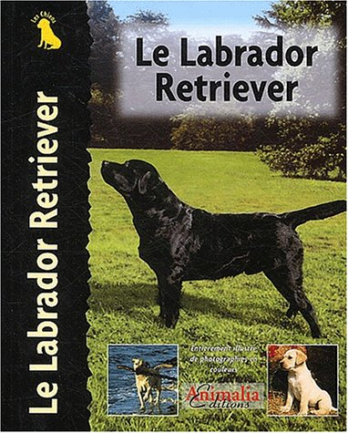 Le labrador retriever