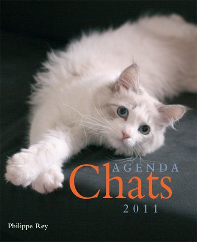 Chats : agenda 2011