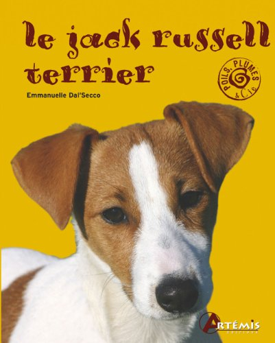 Le jack russell terrier