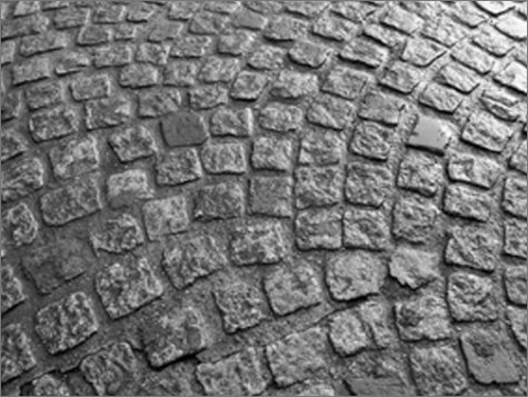 Villes en crise ? : les politiques municipales face aux pathologies urbaines (fin XVIIIe-fin XXe siè