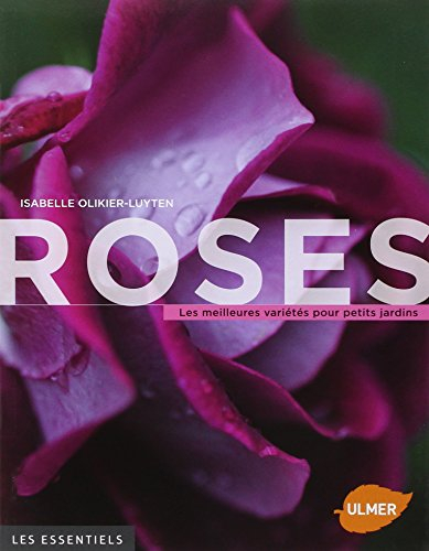 Roses : les meilleures variétés pour petits jardins