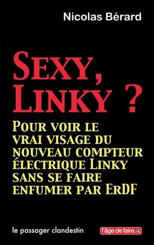 Sexy, Linky ? : pour voir le vrai visage du nouveau compteur électrique Linky sans se faire enfumer 