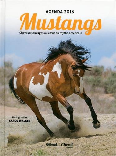 Mustangs : agenda 2016 : chevaux sauvages au coeur du mythe américain