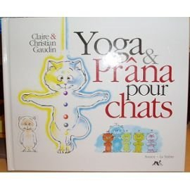 Tai chi chuan pour chats