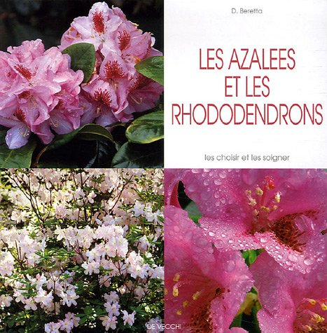 Les azalées et les rhododendrons : les choisir et les soigner